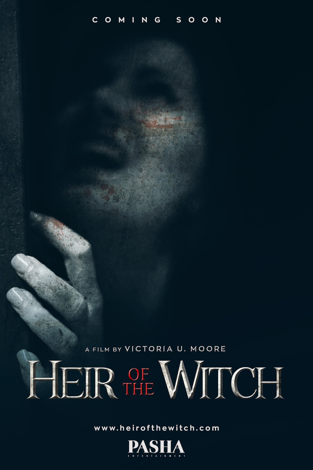 affiche du film Heir of the Witch