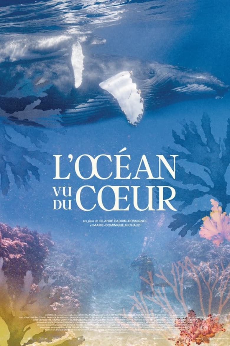 affiche du film L'Océan vu du cœur