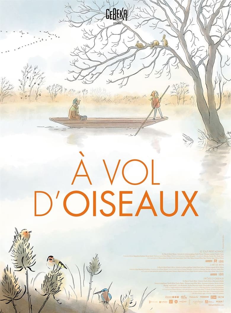 affiche du film À vol d’oiseaux