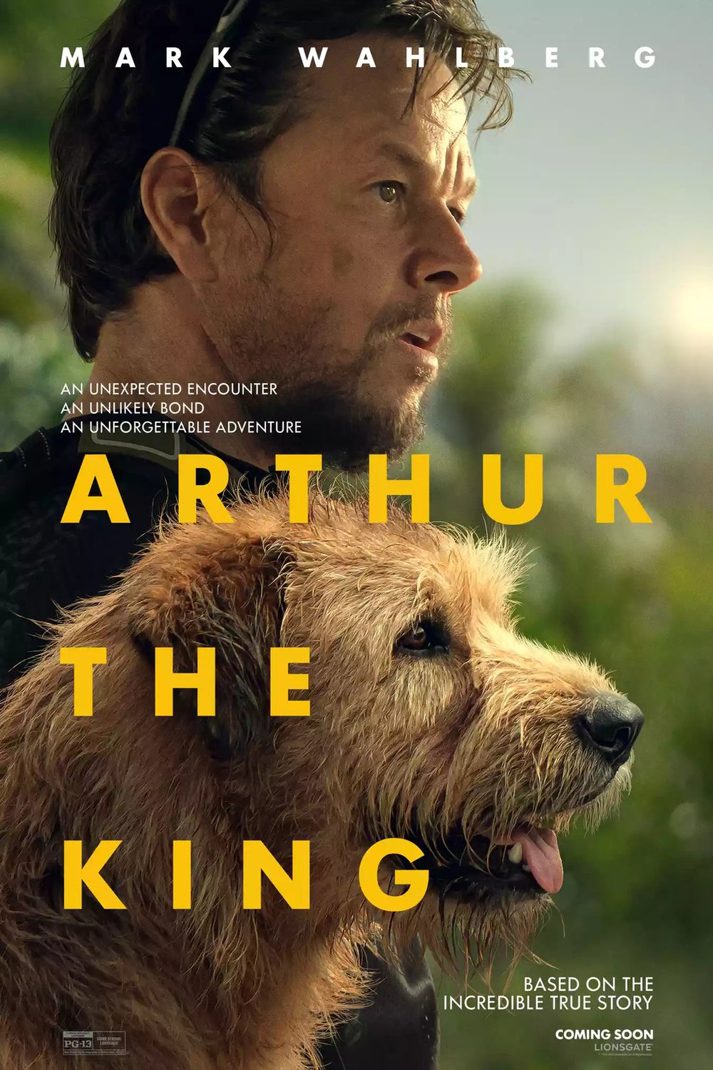 affiche du film Arthur the King