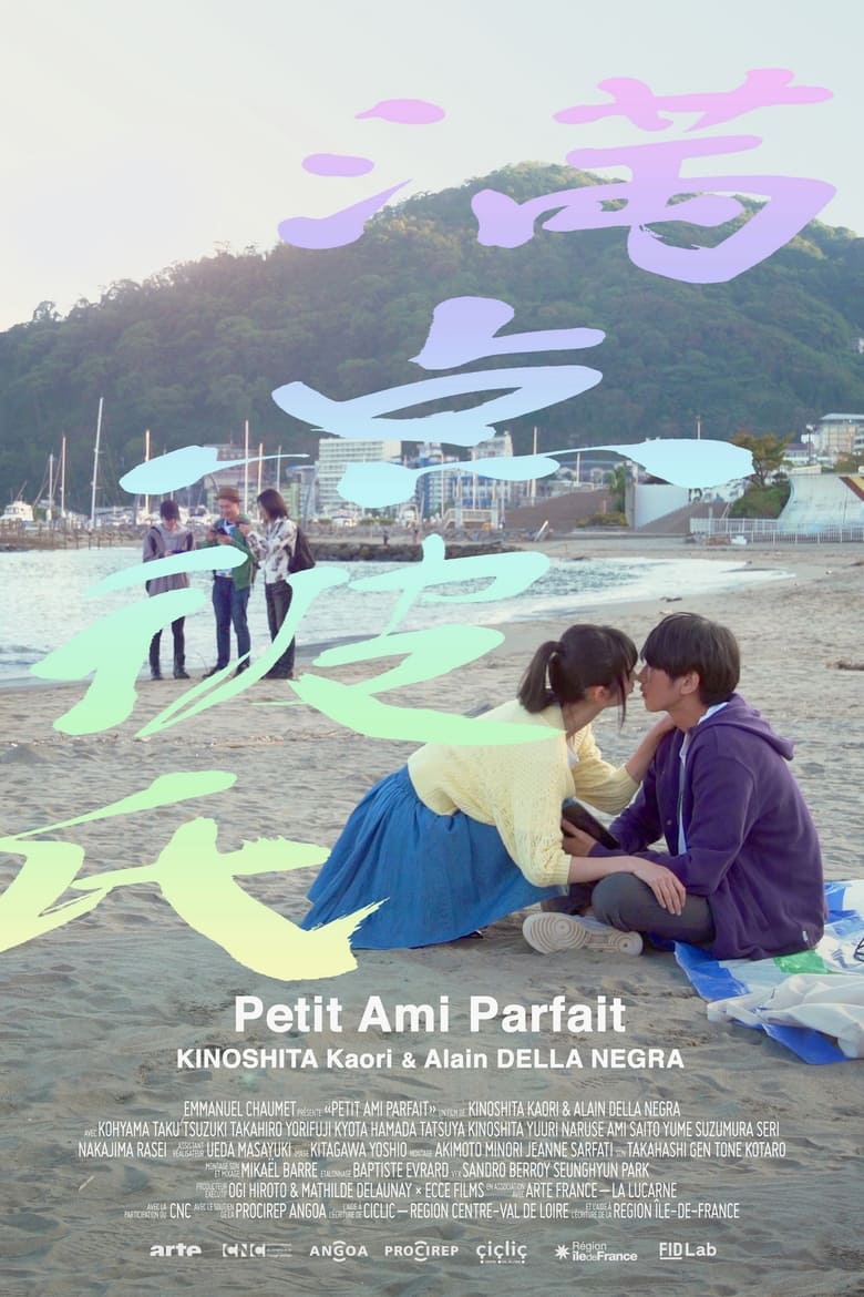 affiche du film Petit Ami Parfait