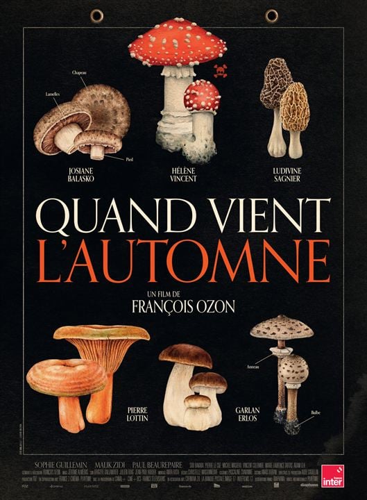 affiche du film Quand vient l'automne