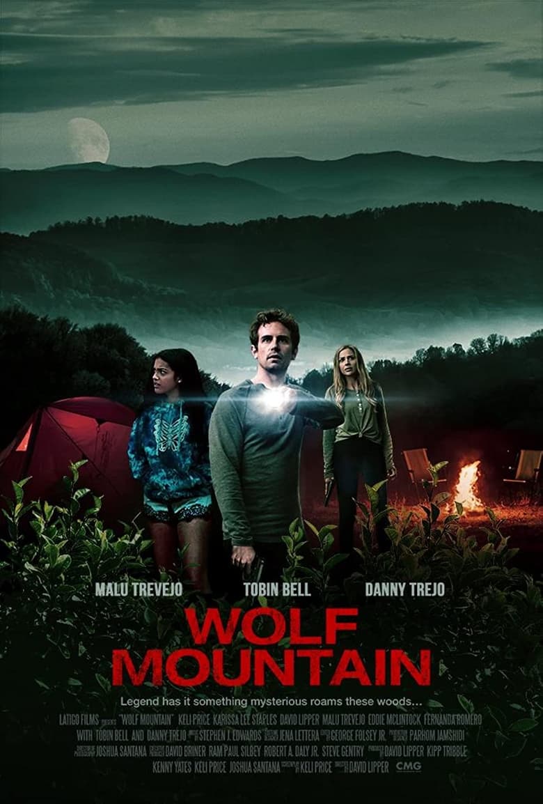 affiche du film Wolf Mountain