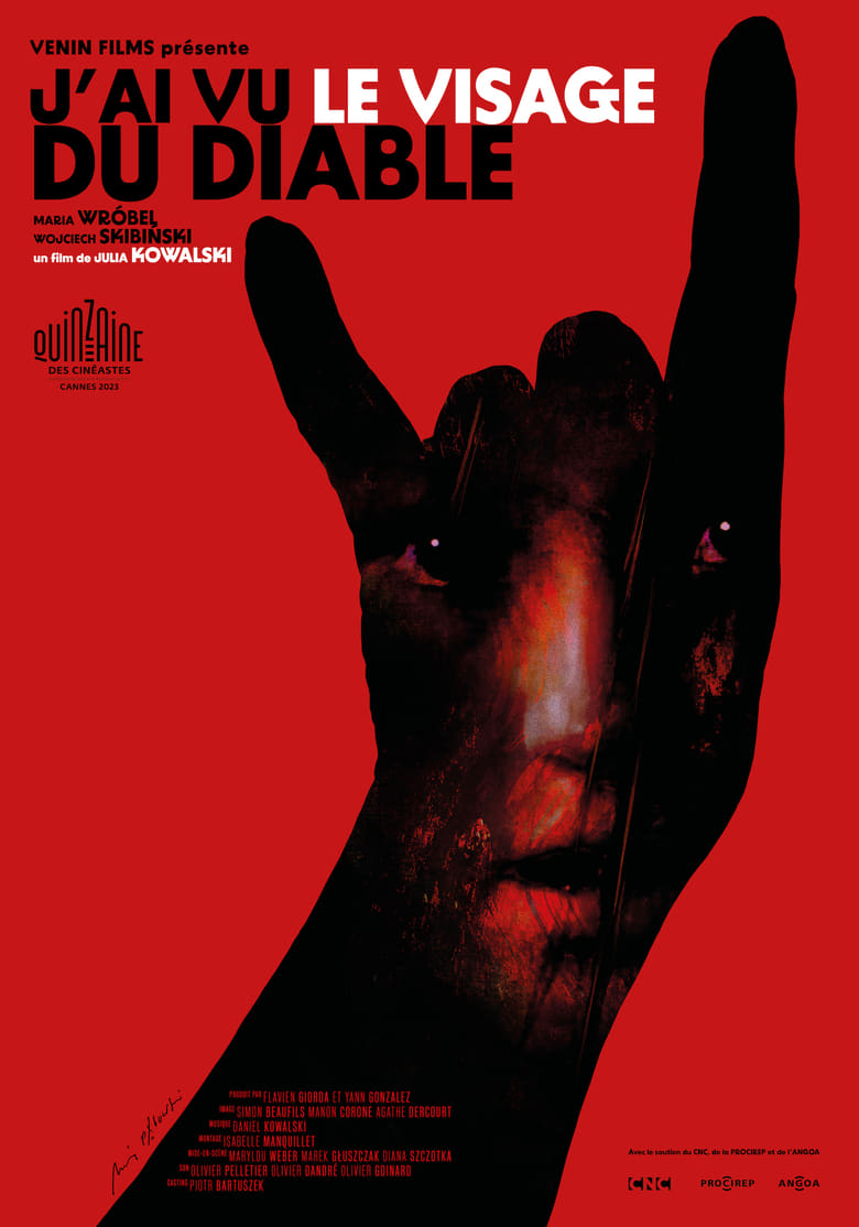 affiche du film J'ai vu le visage du diable