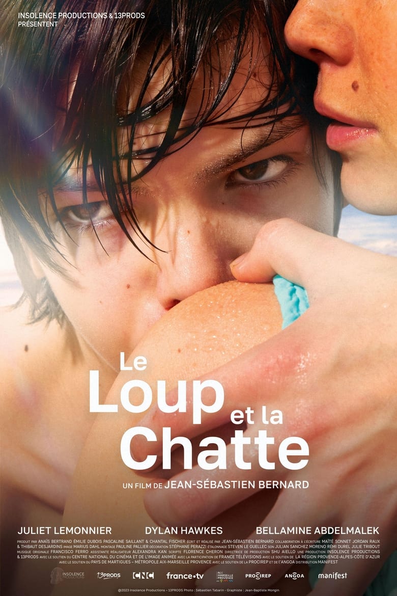 affiche du film Le loup et la chatte