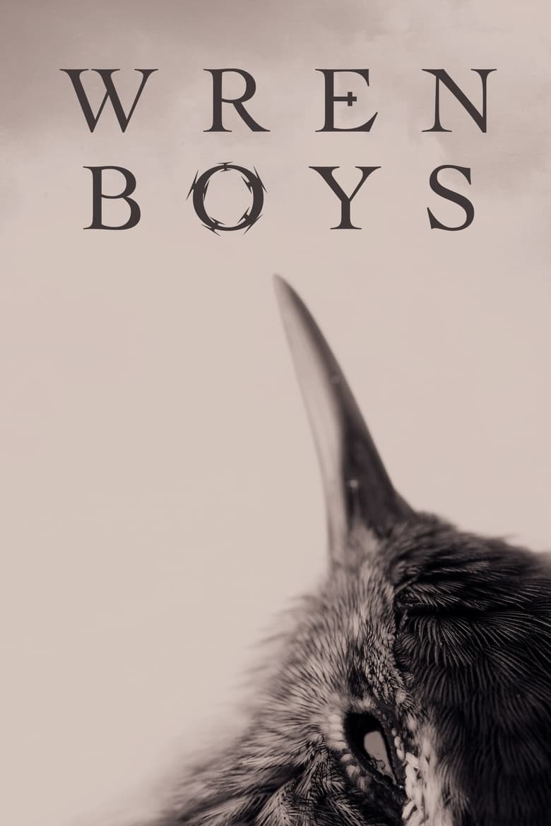 affiche du film Wren Boys