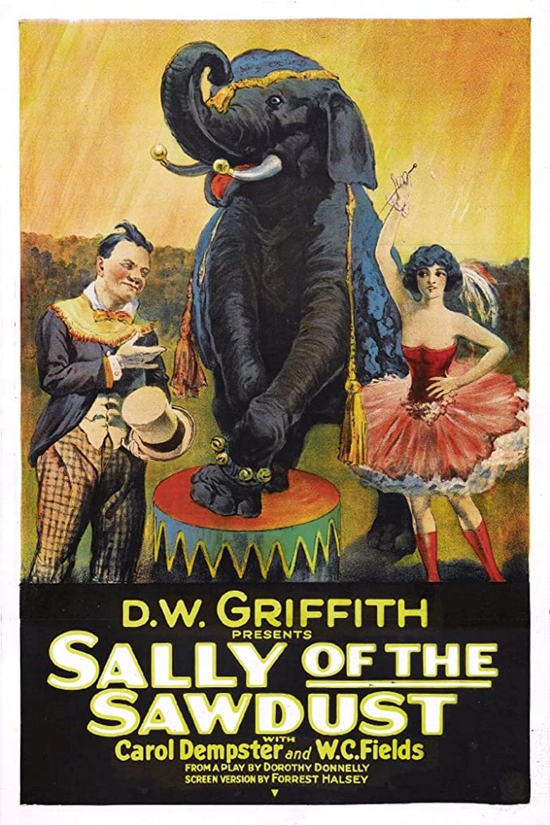 affiche du film Sally fille de cirque