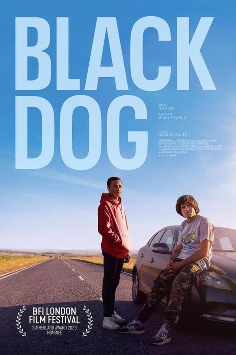 affiche du film Black Dog