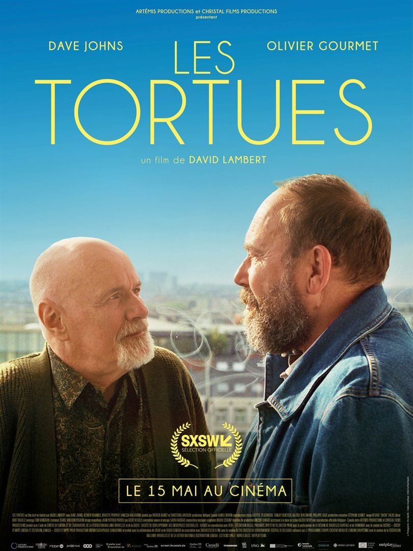 affiche du film Les tortues