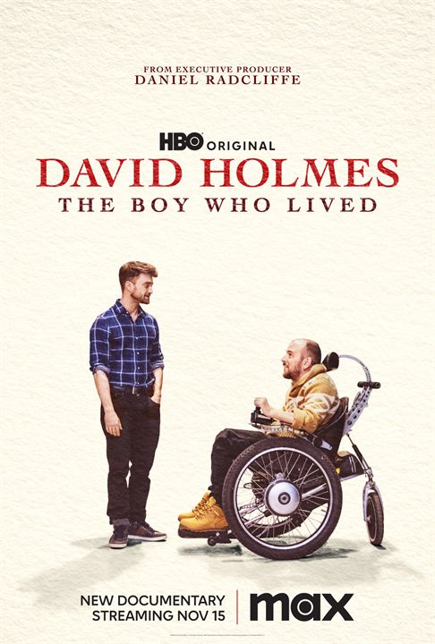 affiche du film David Holmes : Le garçon qui a survécu