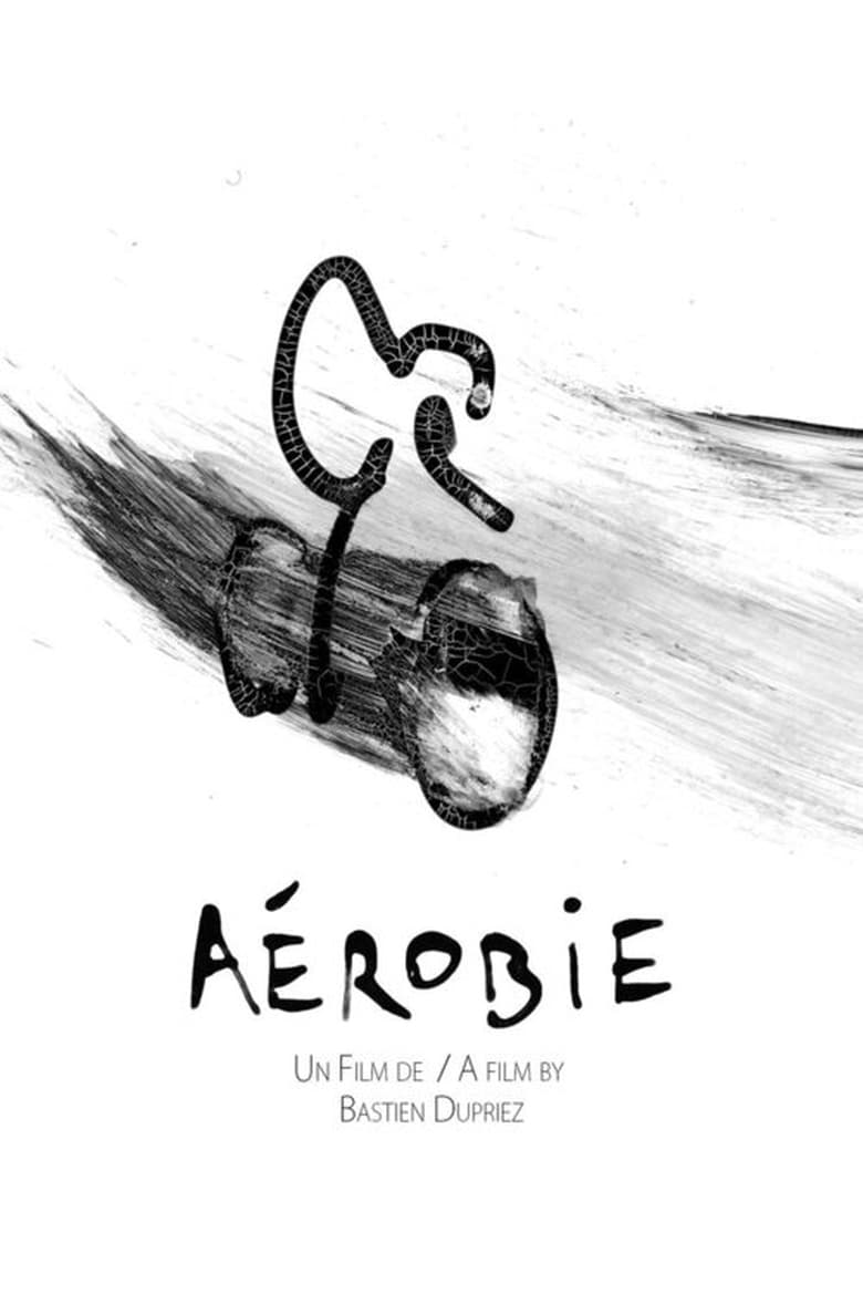 affiche du film Aérobie