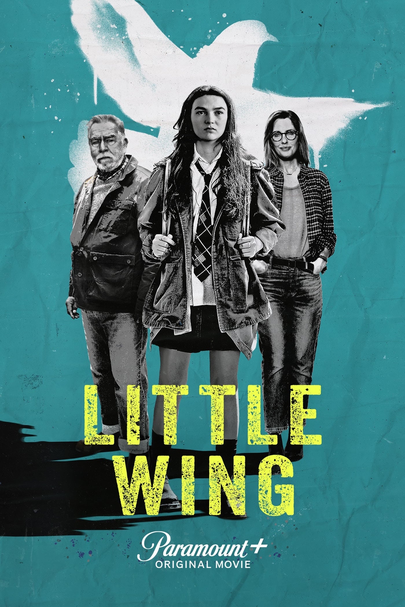 affiche du film Little Wing