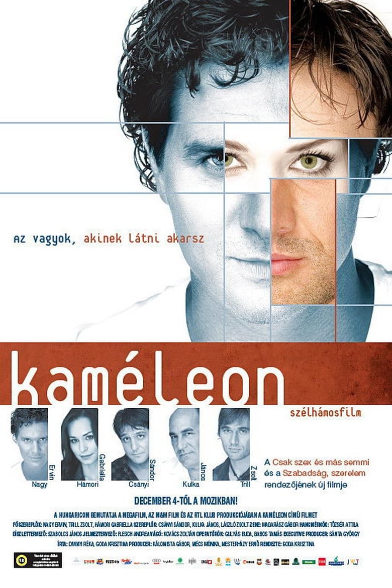 affiche du film Kaméleon