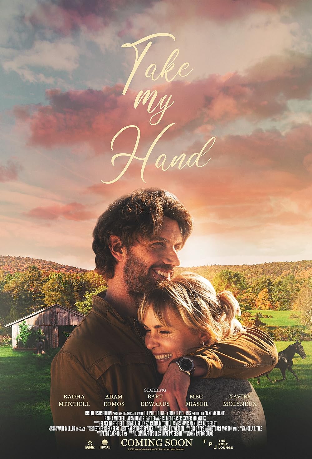 affiche du film Take My Hand