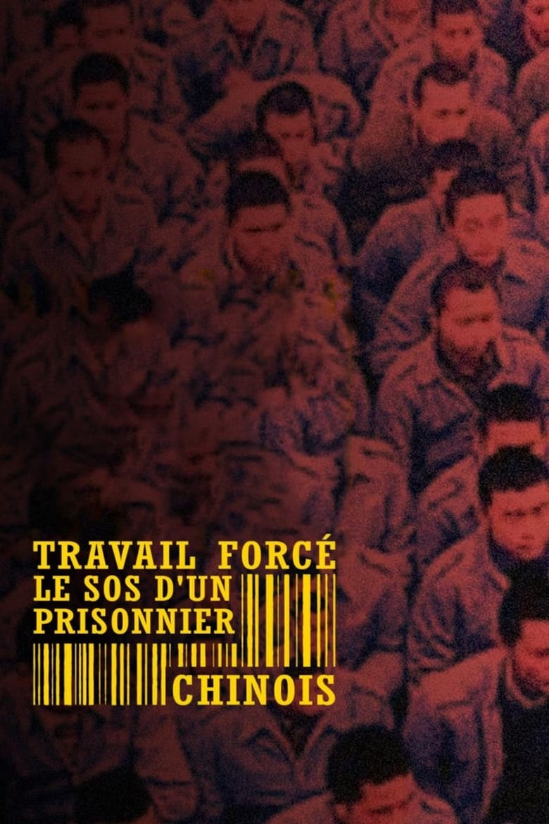 affiche du film Travail forcé, le SOS d'un prisonnier chinois