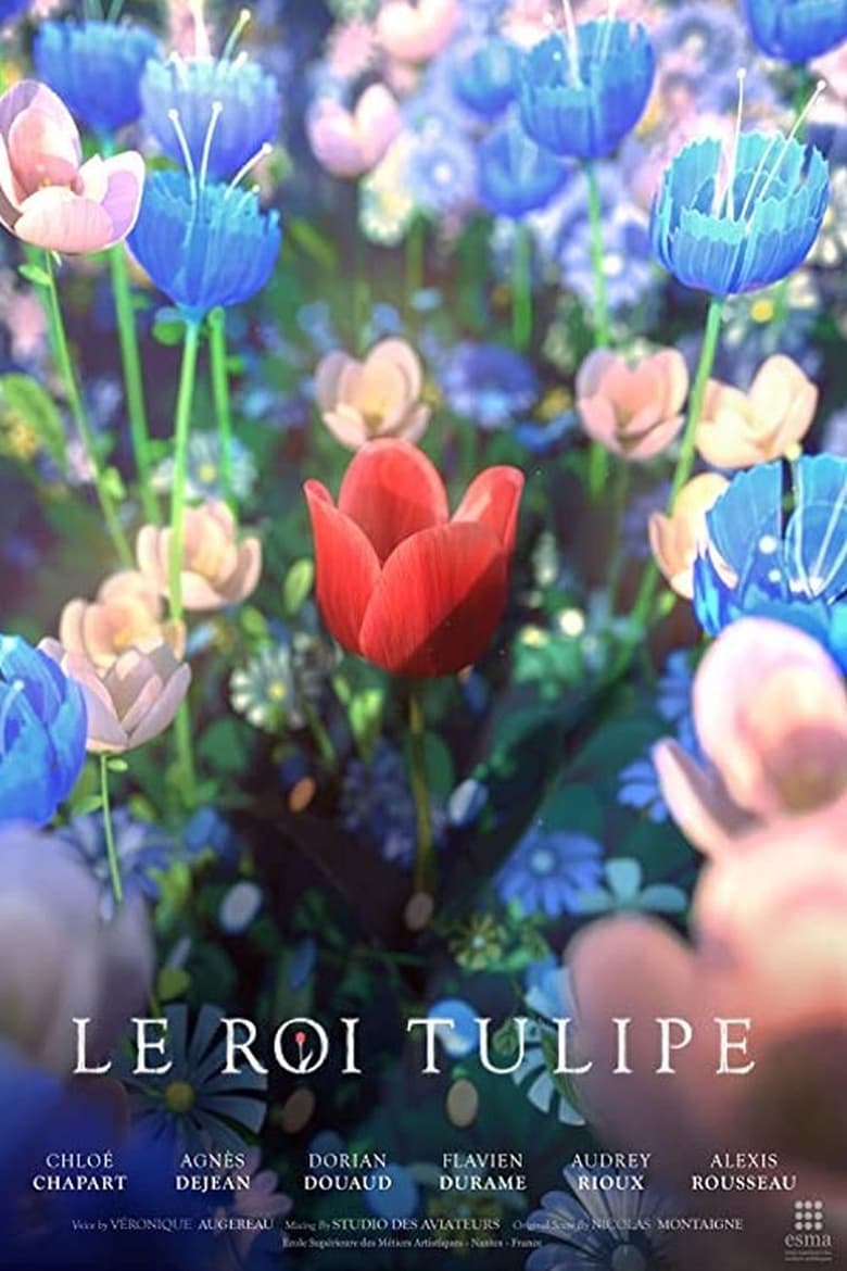 affiche du film Le Roi Tulipe