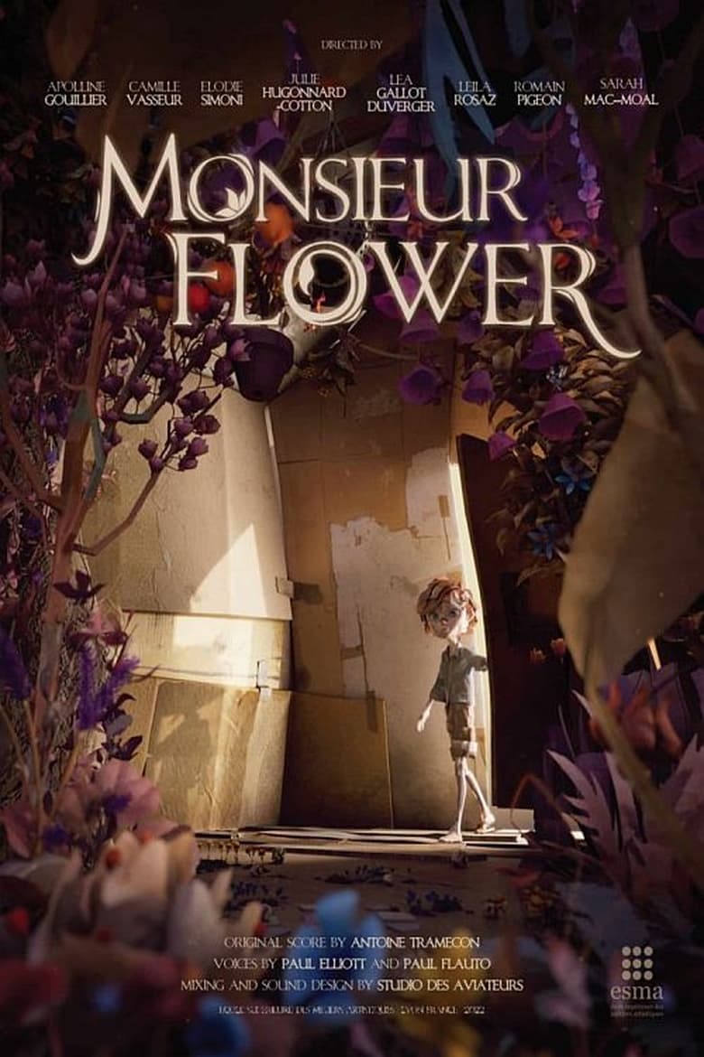 affiche du film Mr Flower