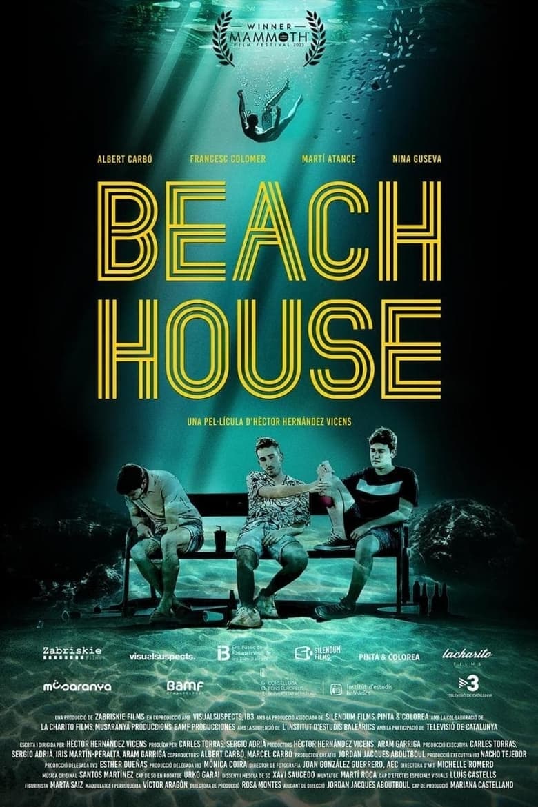 affiche du film Beach House