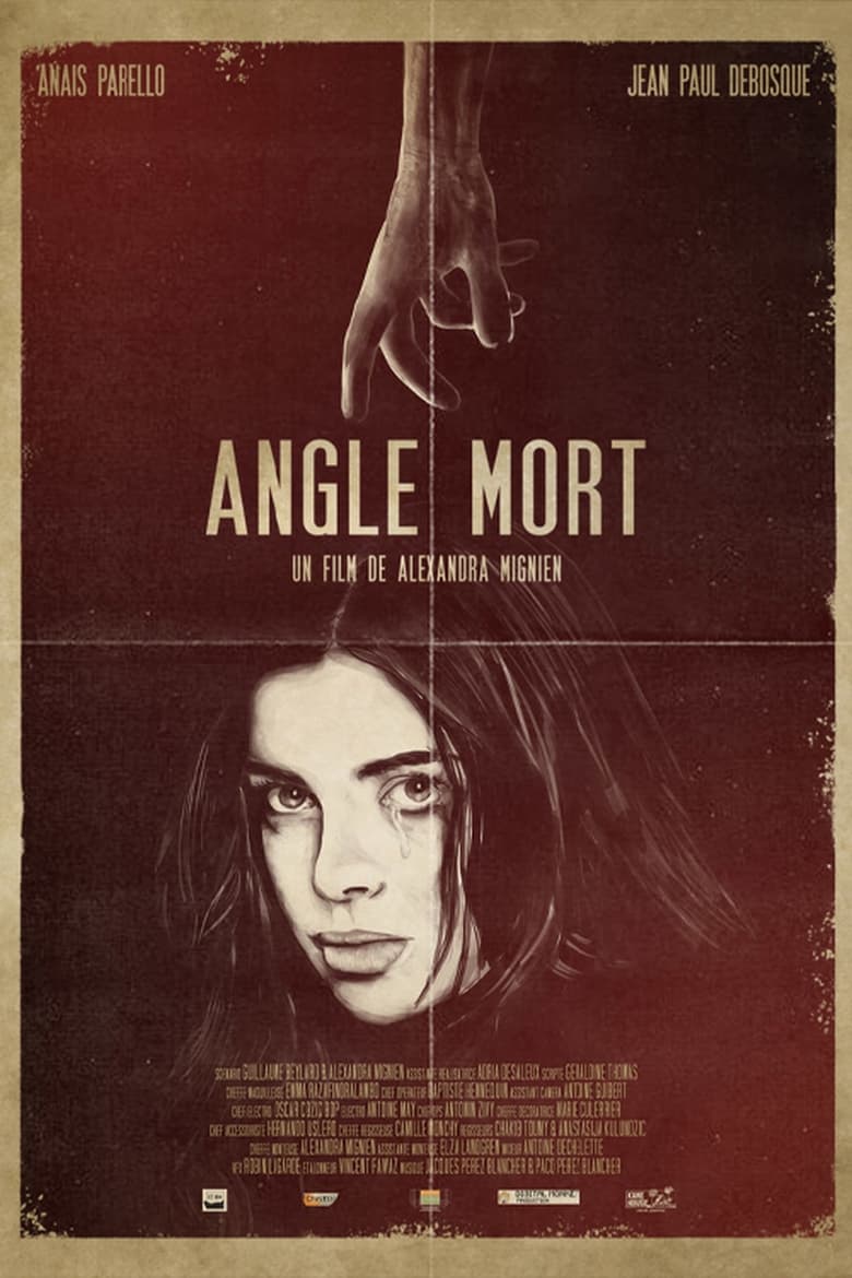 affiche du film Angle mort