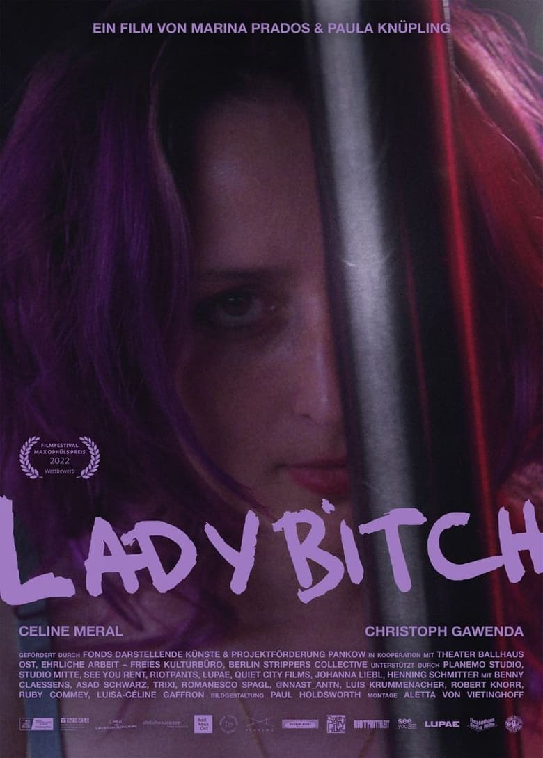 affiche du film Ladybitch