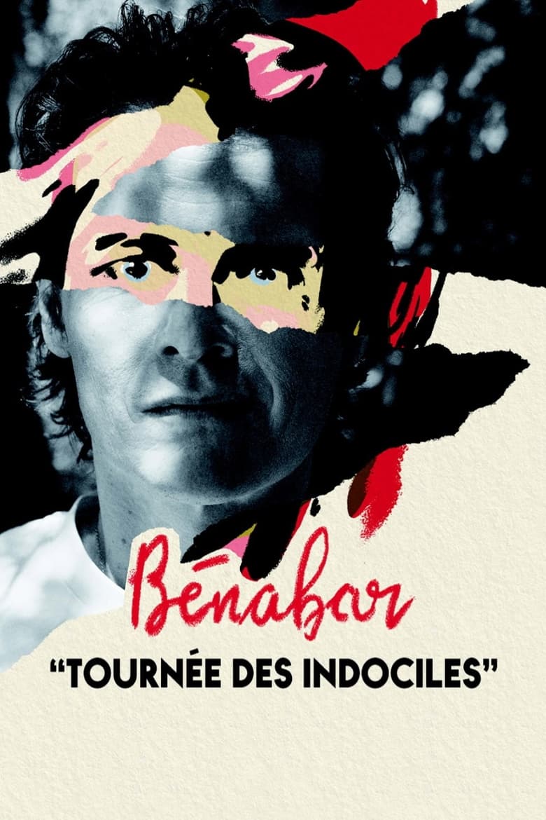 affiche du film Bénabar : Tournée des indociles