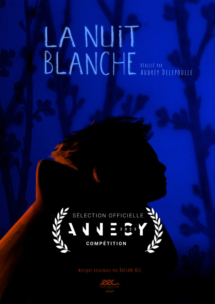 affiche du film La Nuit blanche