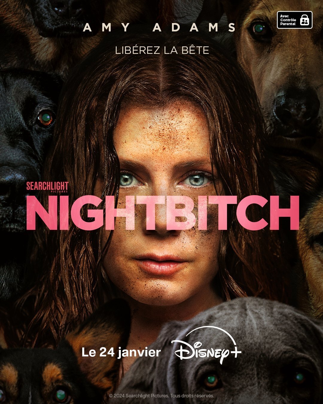 affiche du film Nightbitch
