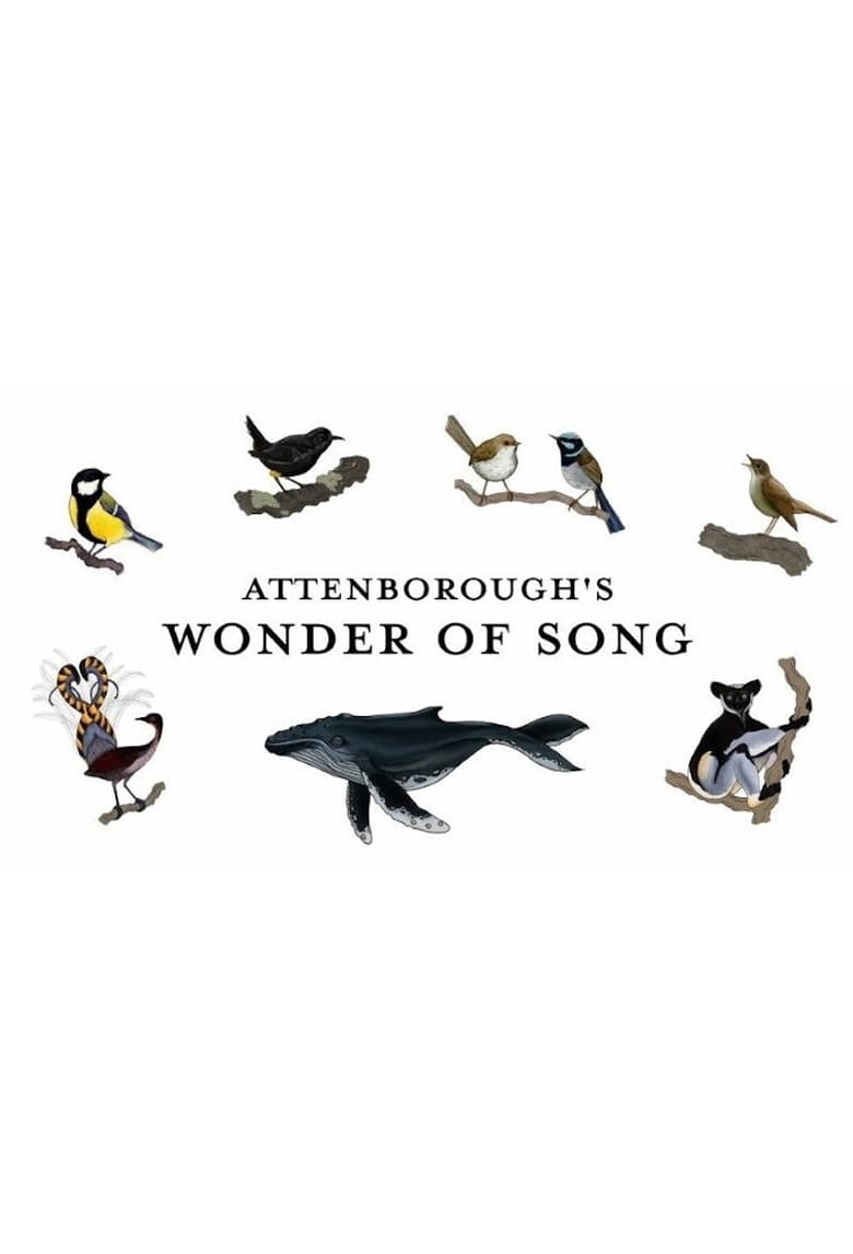 affiche du film Attenborough's Wonder of Song