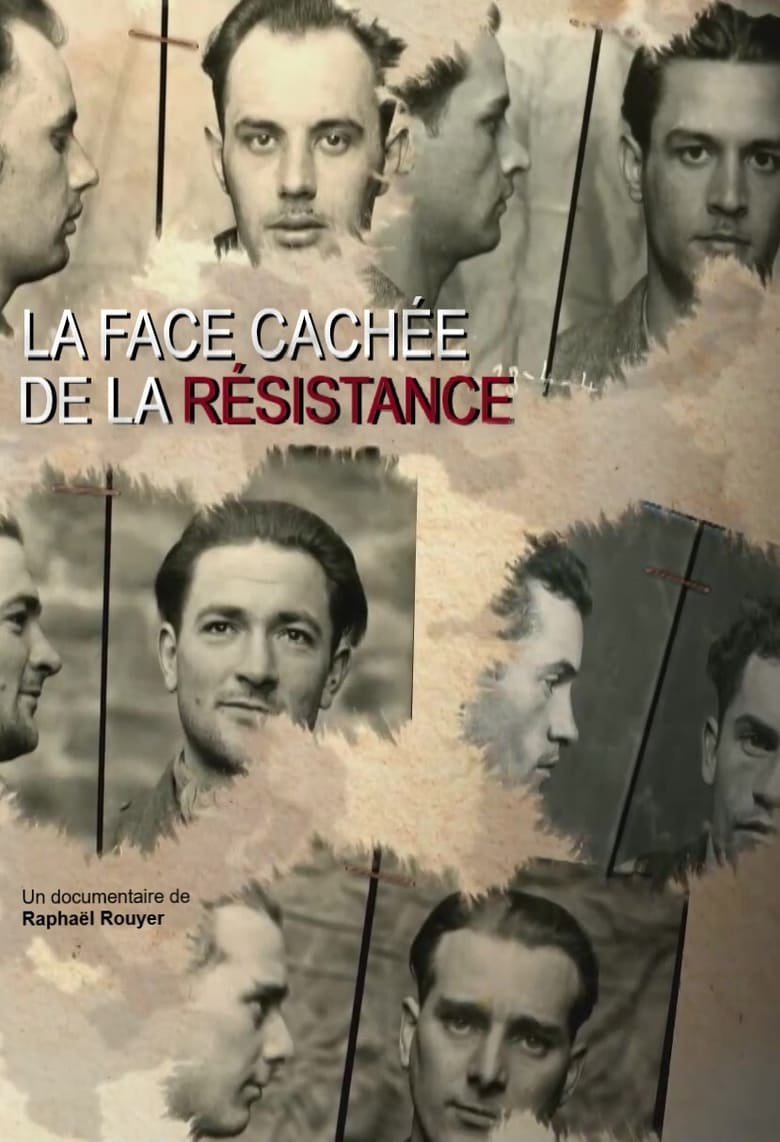 affiche du film La face cachée de la Résistance
