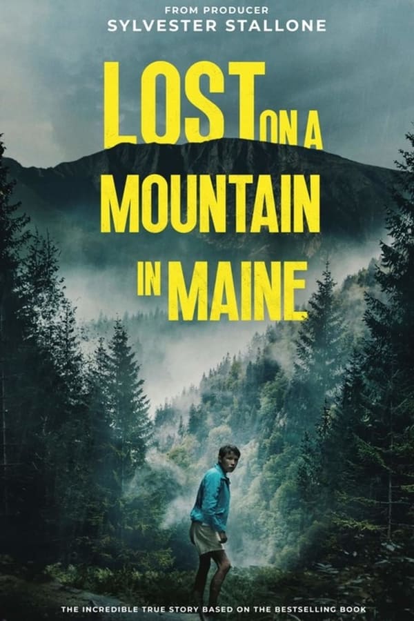 affiche du film Lost on a Mountain in Maine