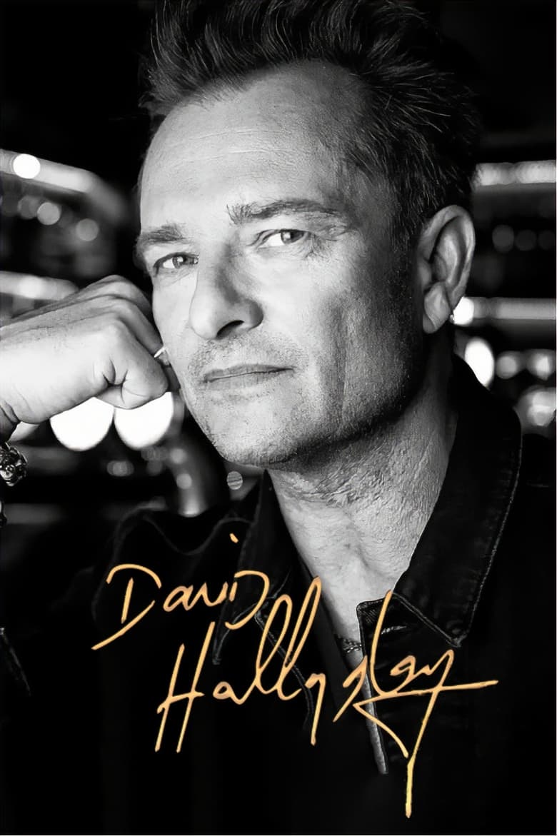 affiche du film David Hallyday