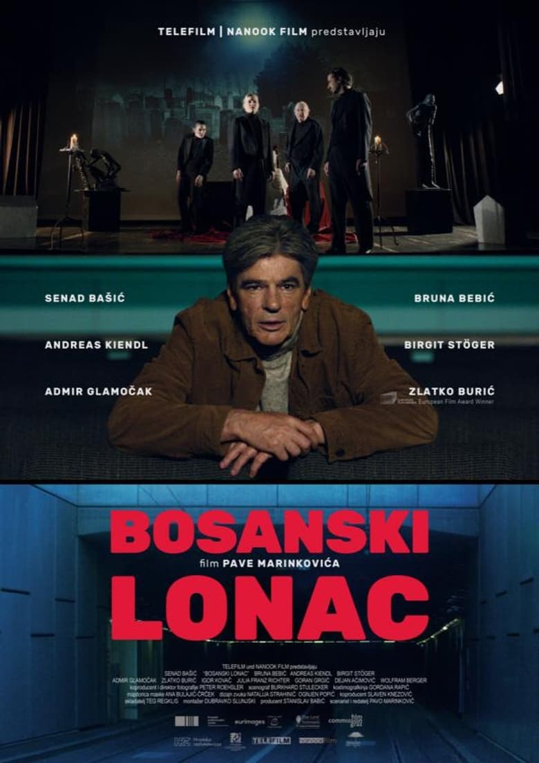 affiche du film Bosanski lonac