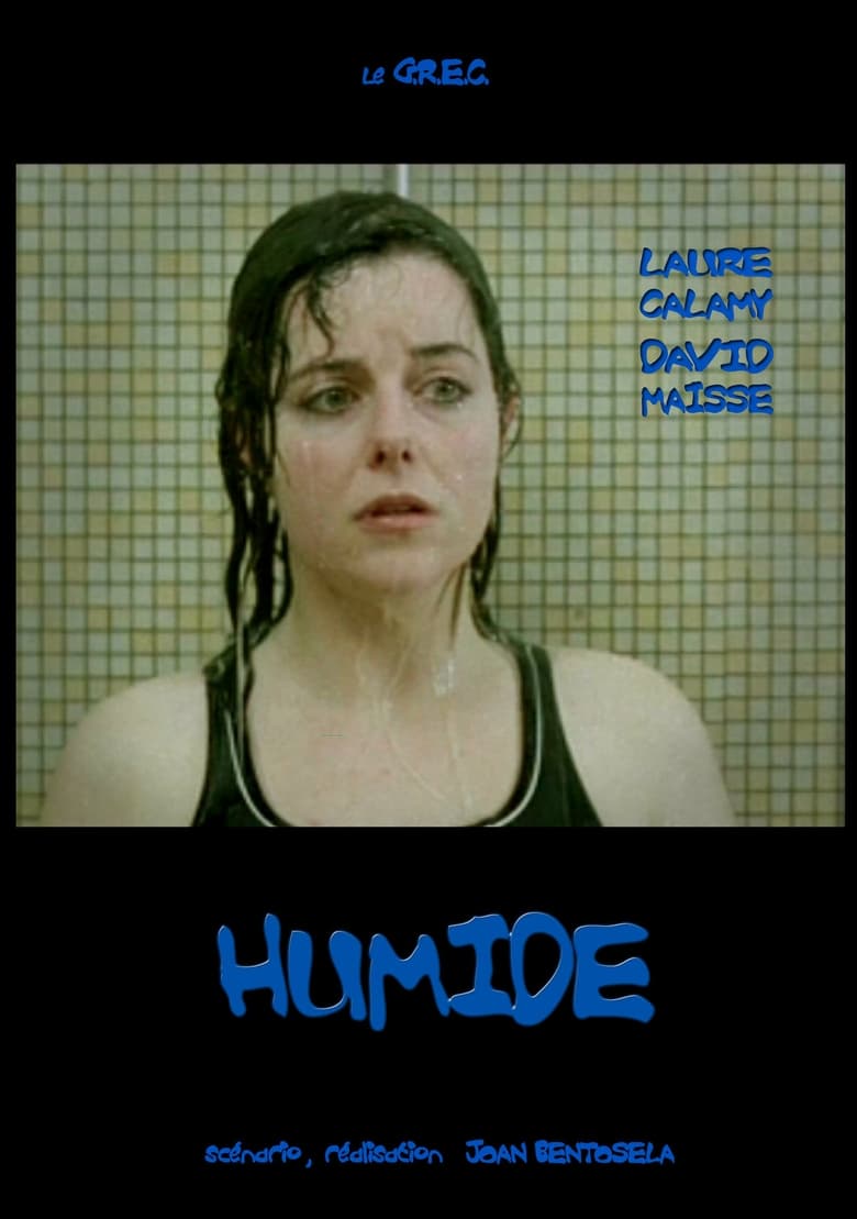 affiche du film Humide