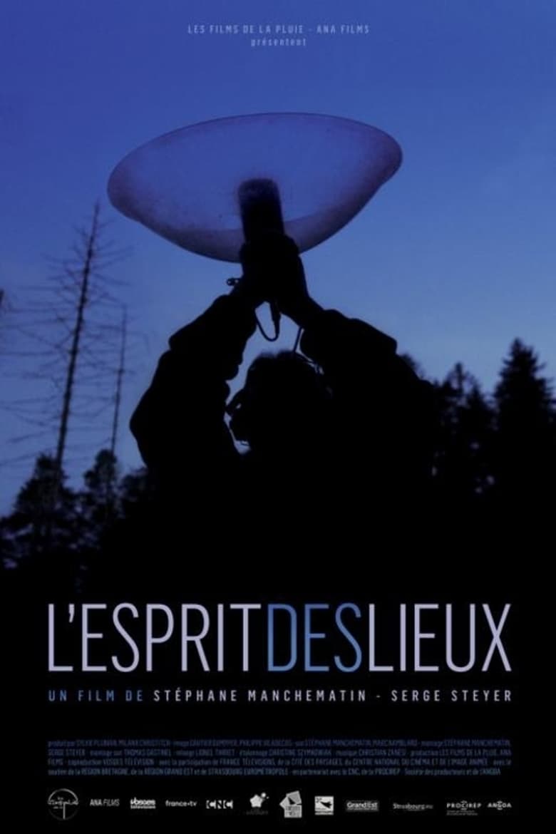 affiche du film L'esprit des lieux