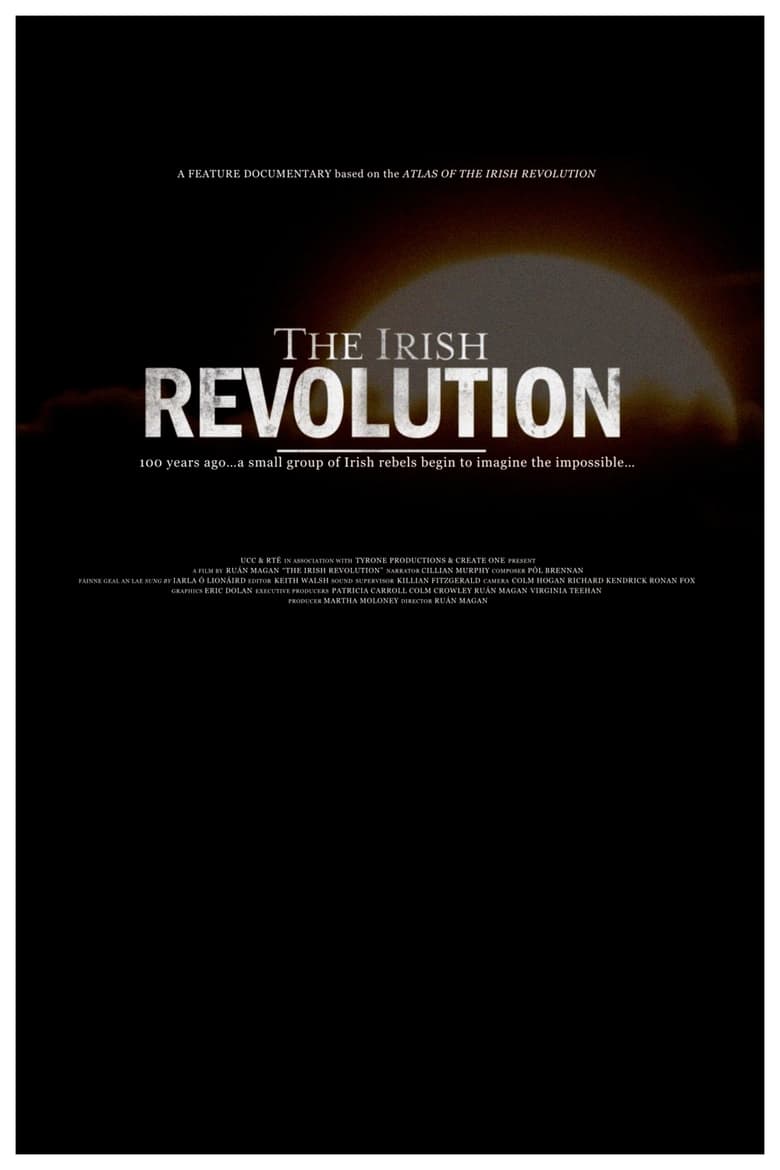 affiche du film La révolution irlandaise