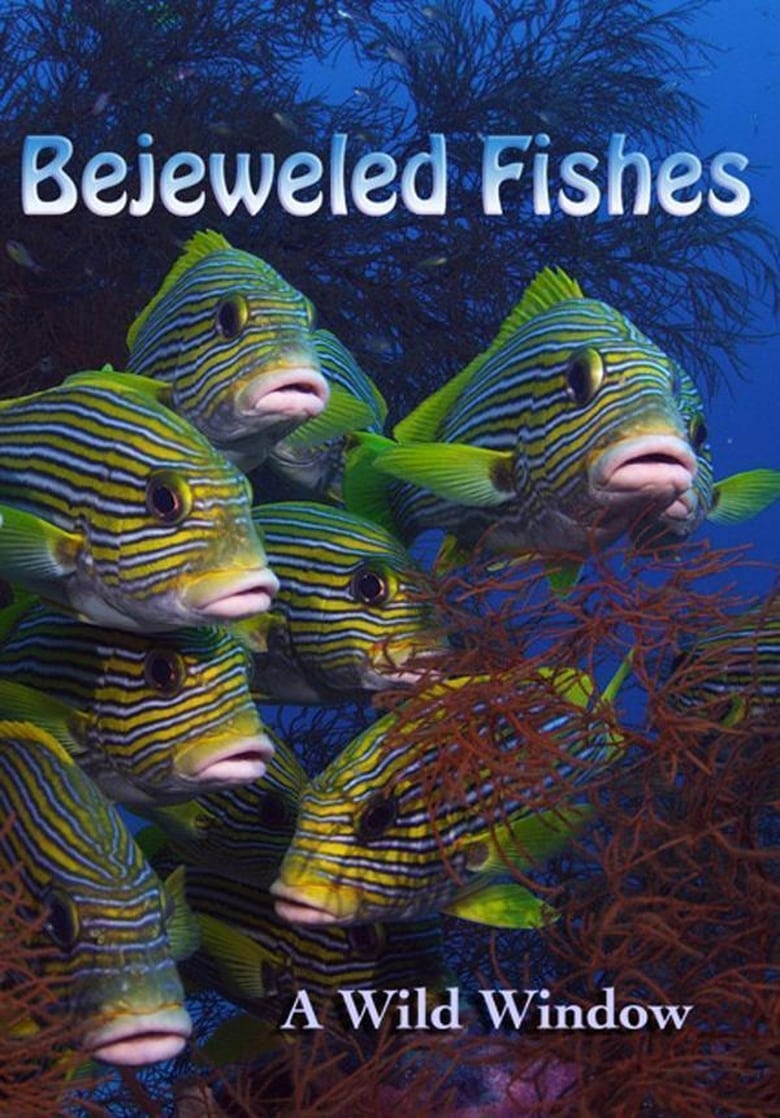 affiche du film Wild Window: Bejeweled Fishes