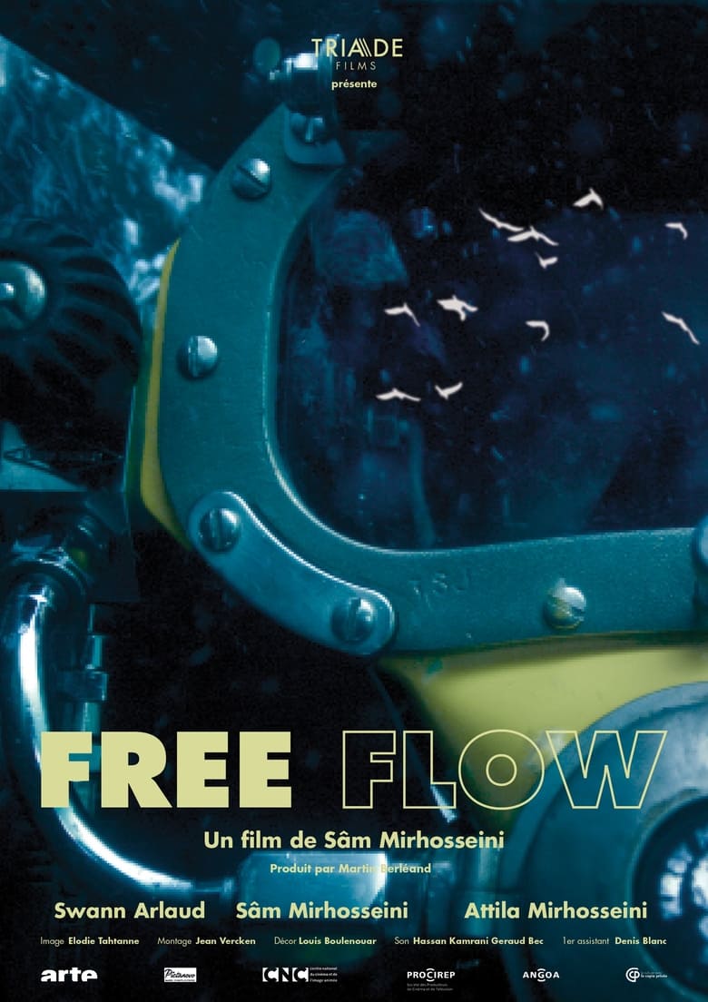 affiche du film Free Flow