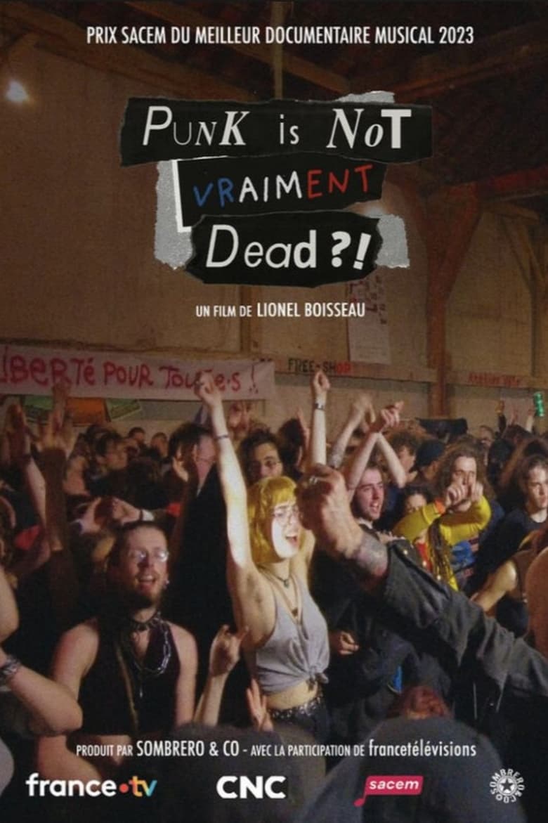 affiche du film Punk is not vraiment dead ?!