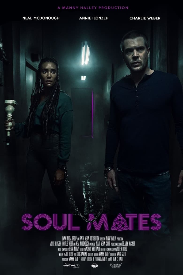 affiche du film Soul Mates
