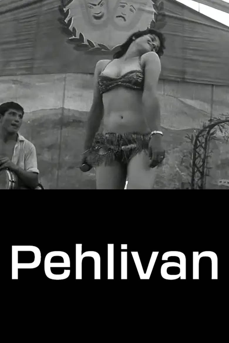 affiche du film Pehlivan
