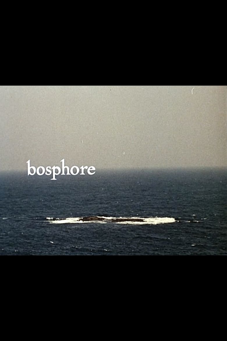 affiche du film Bosphore
