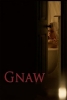 Apartment 212 (Gnaw)