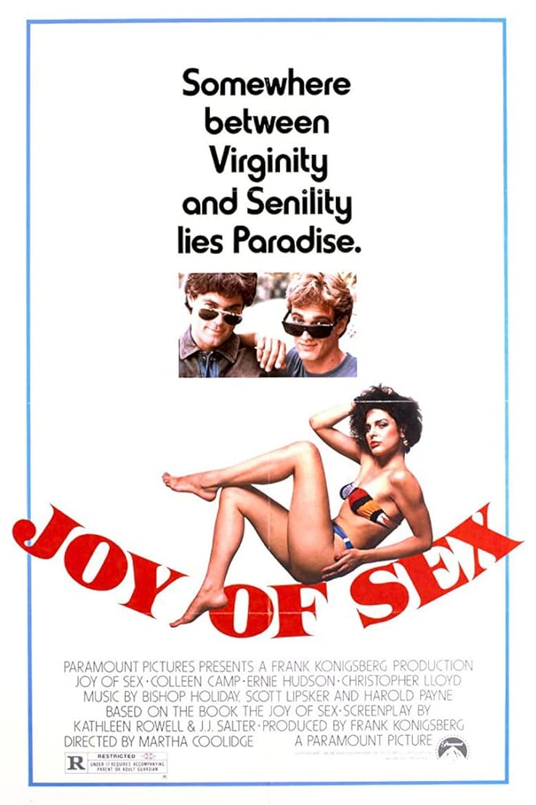 affiche du film Joy of Sex
