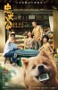 Hachiko (Zhong Quan Ba Gong)