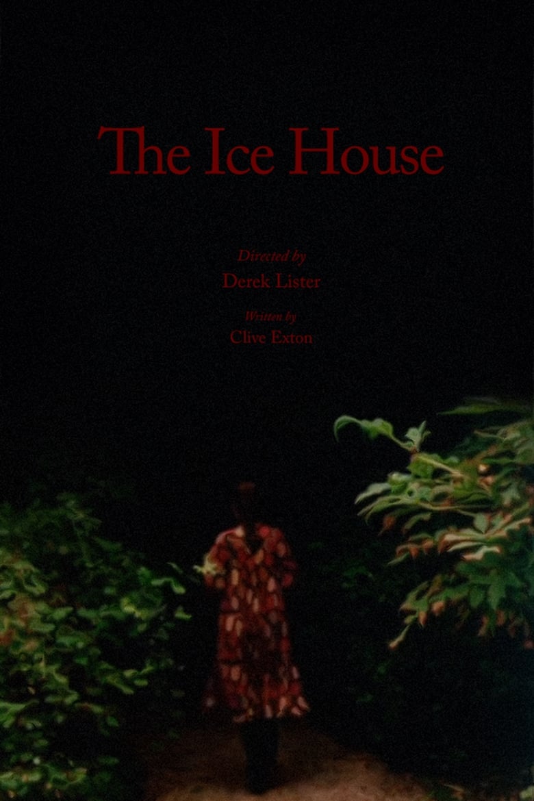 affiche du film The Ice House