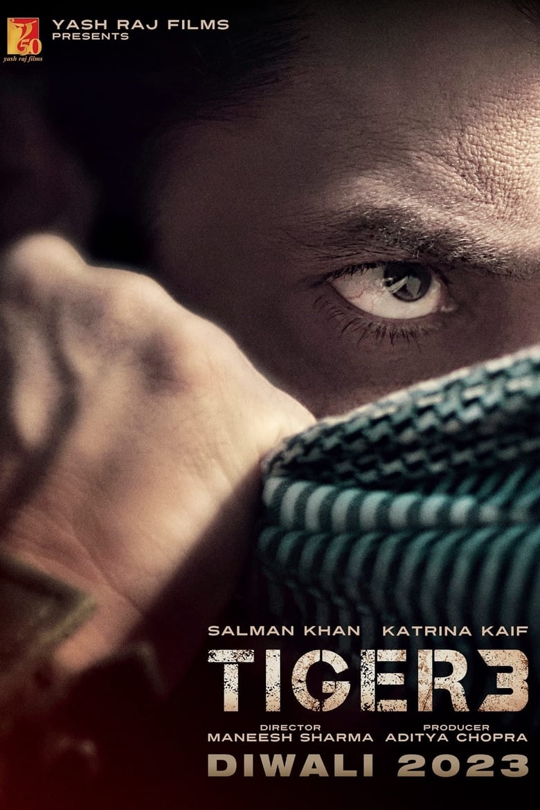affiche du film Tiger 3
