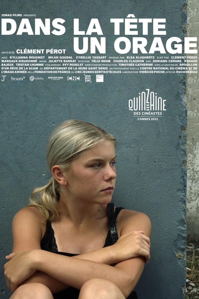 affiche du film Dans la tête un orage