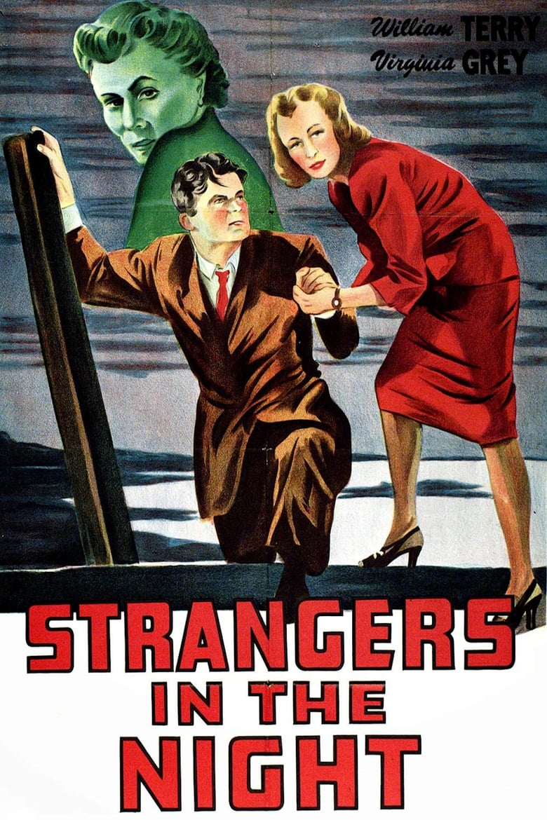 affiche du film Strangers in the Night