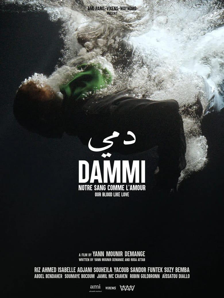 affiche du film Dammi