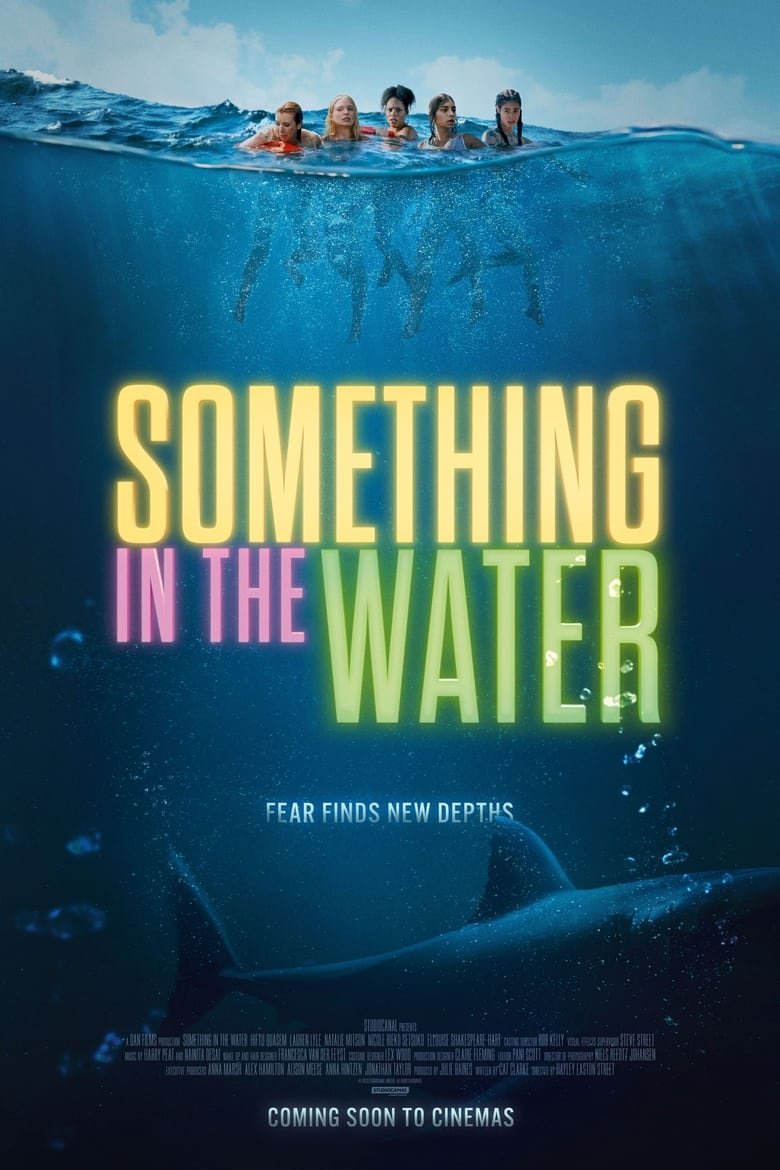 affiche du film Something in the Water